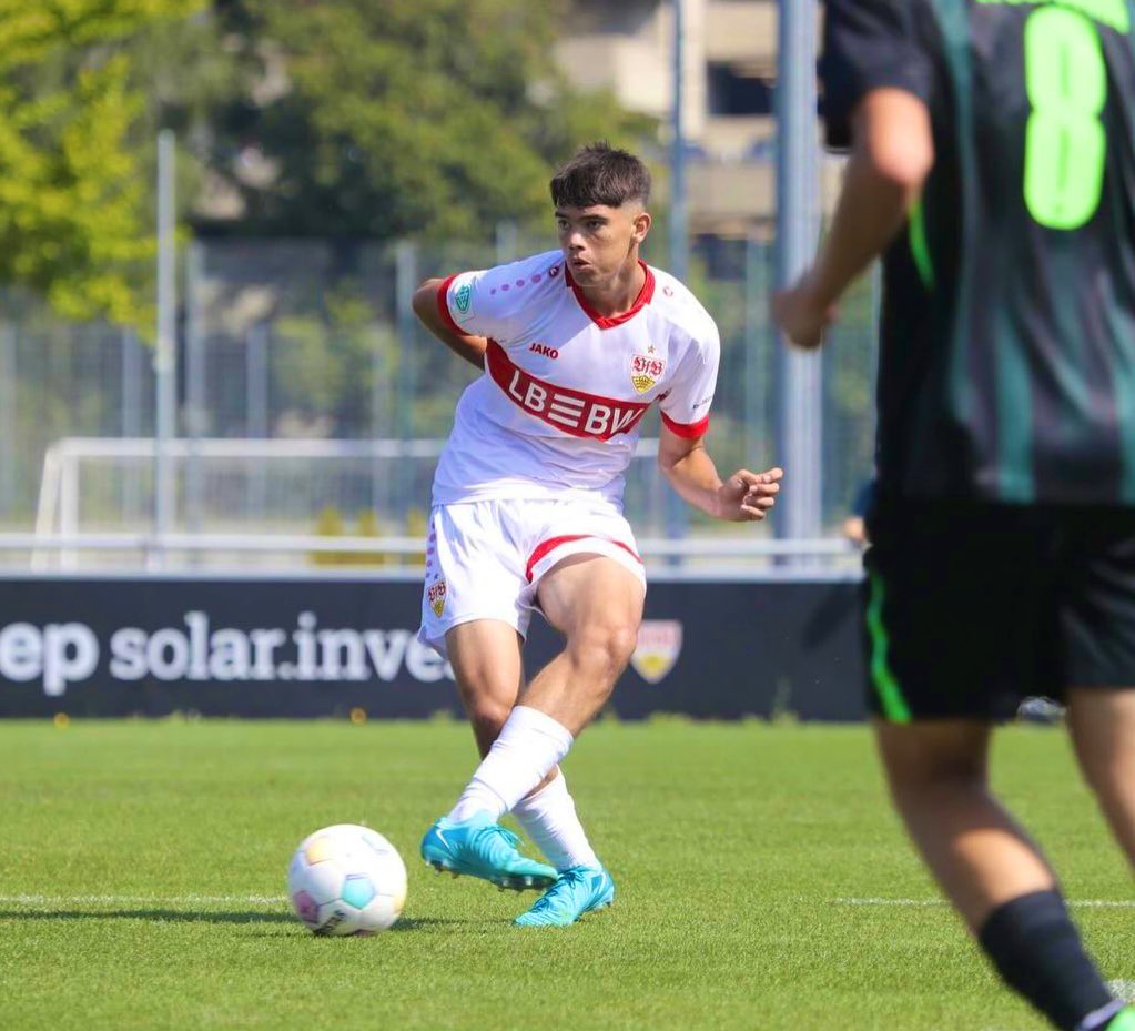 Bosnian Football tweet media