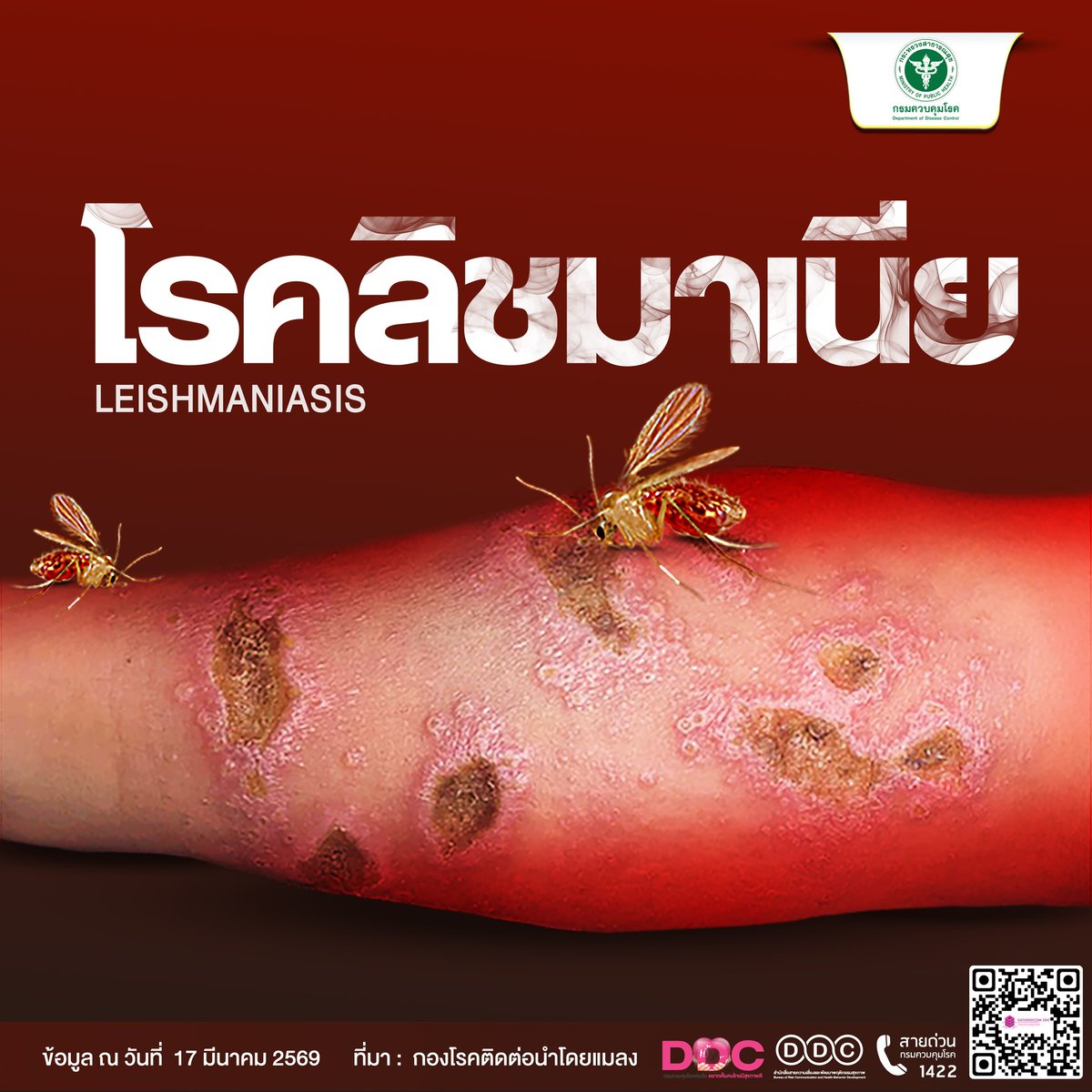 ddc_riskcom's tweet photo. 🦟 ระวัง! "โรคลิชมาเนีย" ภัยร้ายจากริ้นฝอยทราย
ทำความรู้จักกับโรคติดต่อที่มากับแมลงตัวจิ๋วแต่พิษสงร้ายกาจ พร้อมวิธีป้องกันตัวเองให้ปลอดภัยครับ https://t.co/3TanQ1PzGl