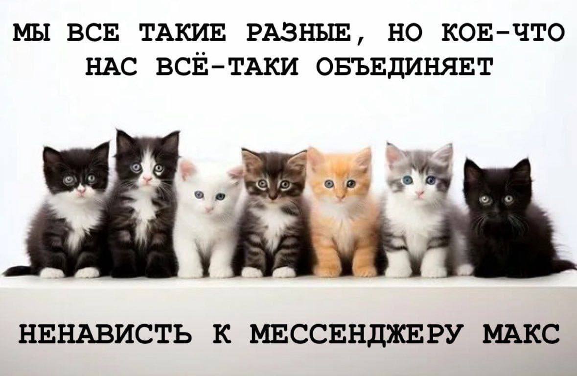 созвездие бомжа tweet media