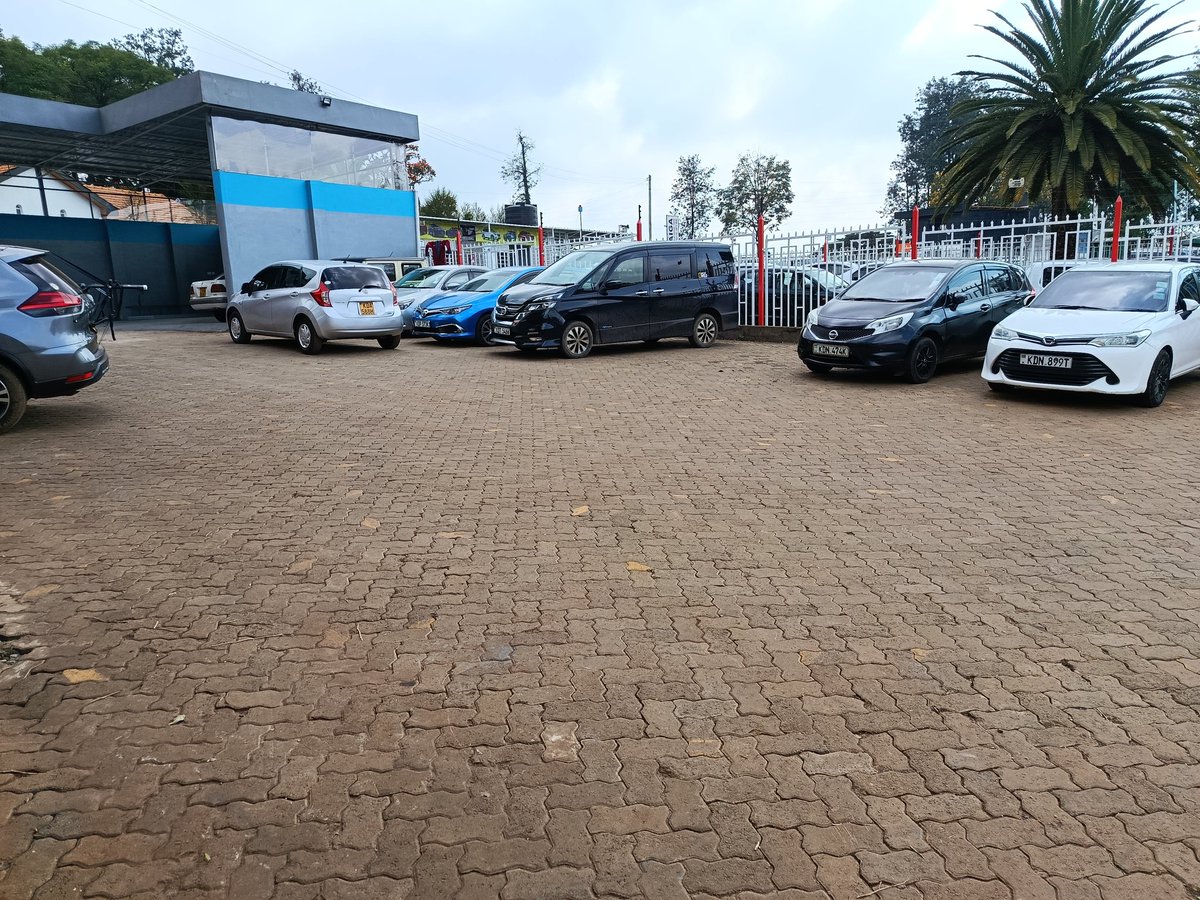 JCarhire's tweet photo. Hali si hali😭 
The parking is full of cars just staring at me like, “so… are we working today or just vibing?” 
Long-term rates are now at 30% discount and still… silence.
At this rate I’m one step away from joining furumbanya church choir for anointing oil for bookings.

Things are not thinging… but you can change that today:
👉 Book a car
👉 Refer a friend
👉 Or just repost… biashara iingie
A small support, a referral, a deal… might just save a girl today. 
Call/WhatsApp 📞 0793 373 705/ 0723630231
Go-Wheels before I start testifying instead of renting