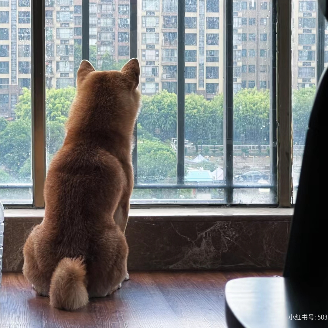 Steven Baird tweet media