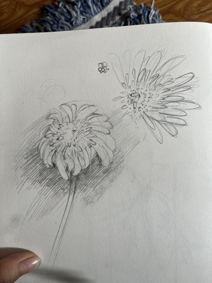 ăn lắm ỉa nhiều tweet media