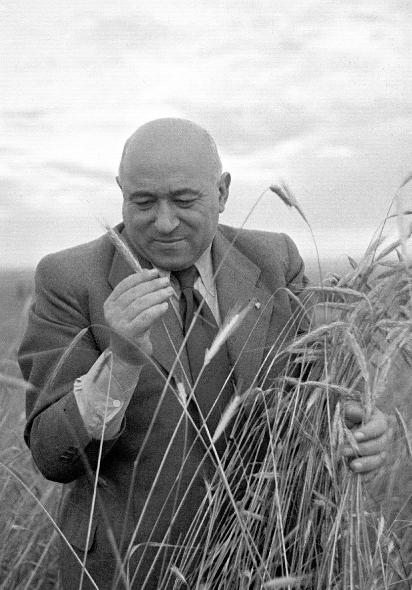 Максим Мирович tweet media