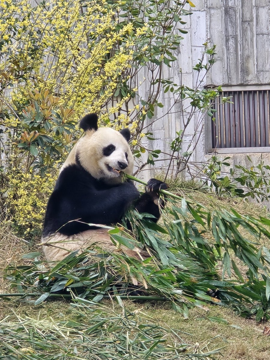 𝖍𝖆𝖗𝖗𝖞 | 哈里 tweet media