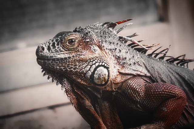 Nick Hickman tweet media