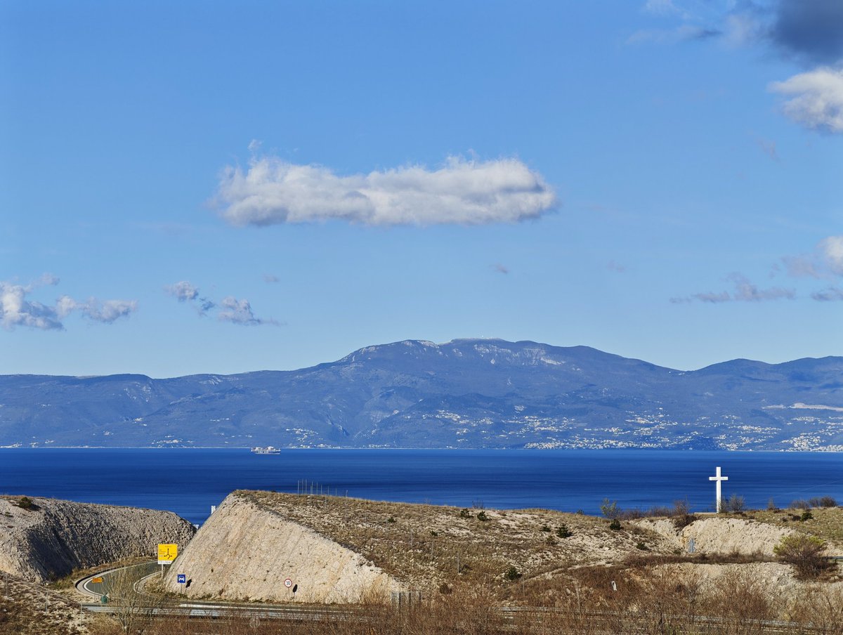 Petar Pero tweet media