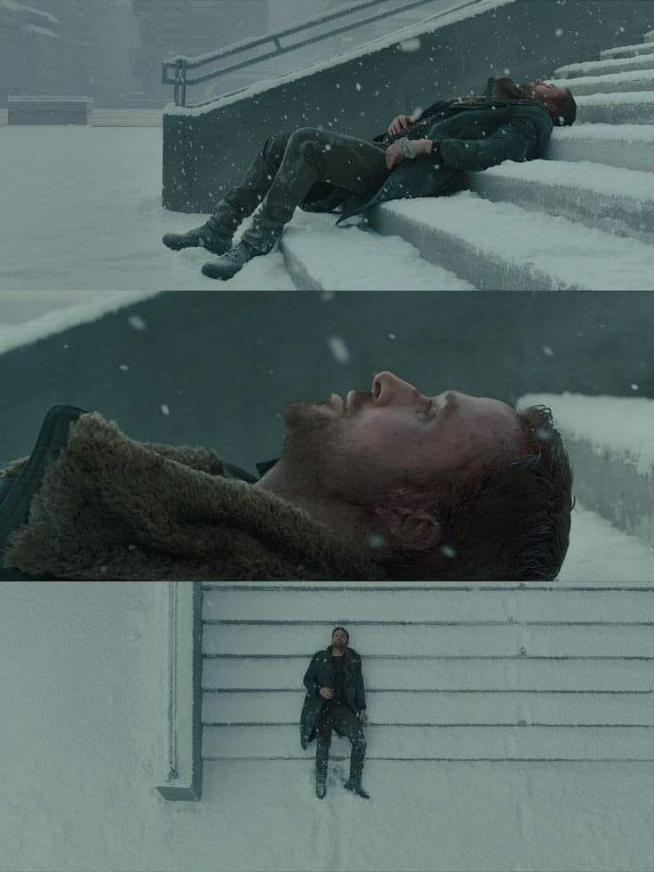 MR. OBVIOUS tweet media