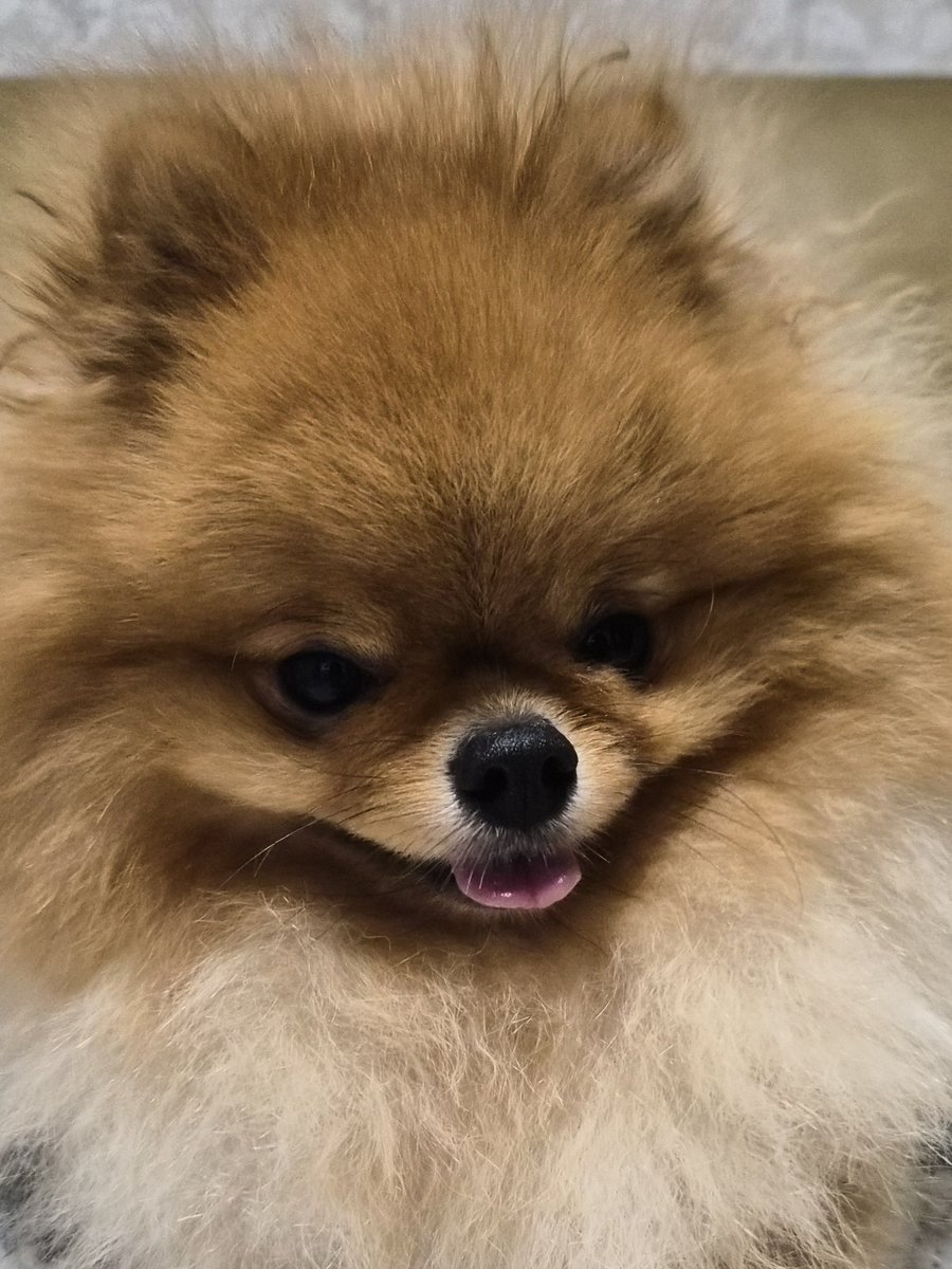 양개이cctv tweet media