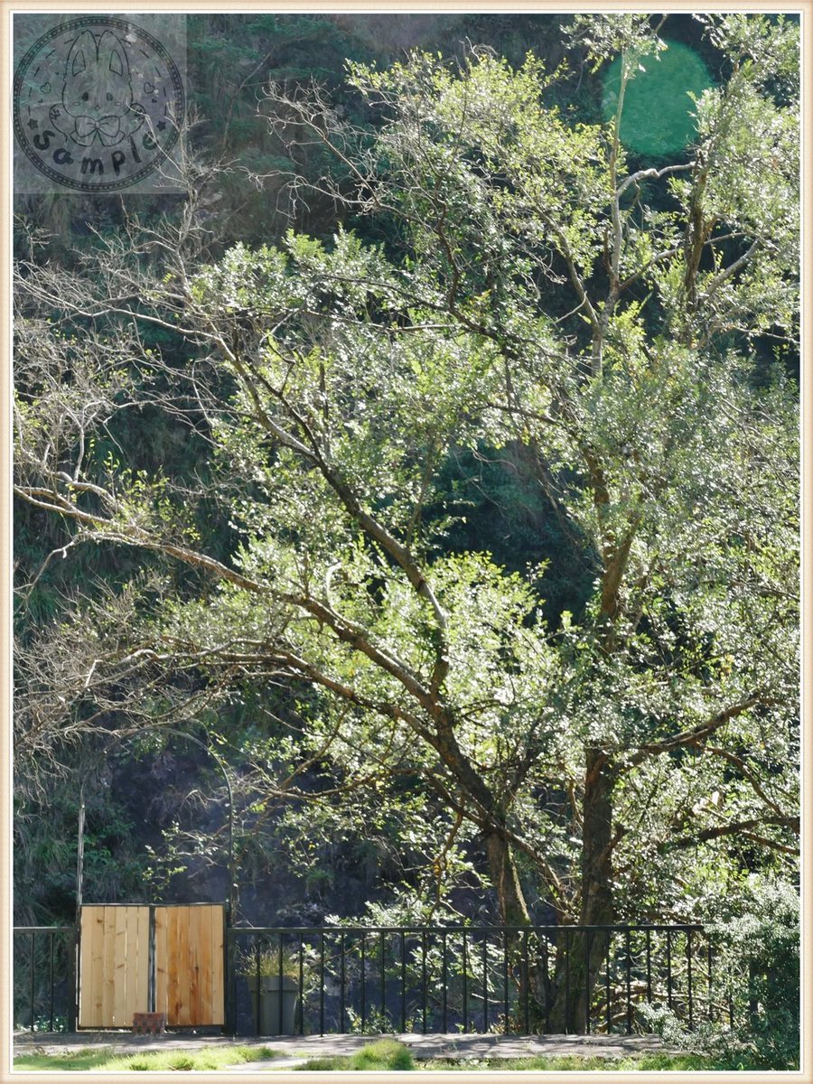 Quentin Cachon tweet media