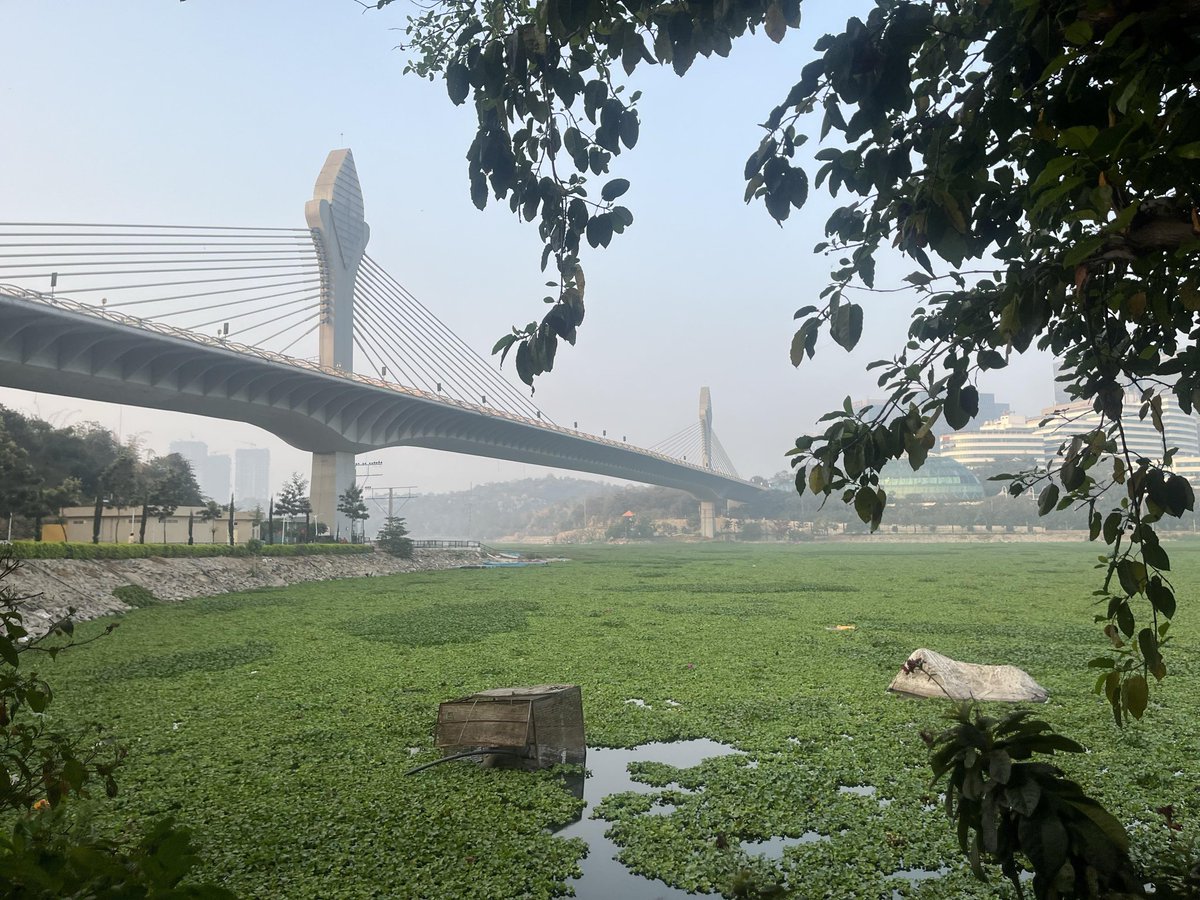 Bicycle Mayor of Hyderabad tweet media