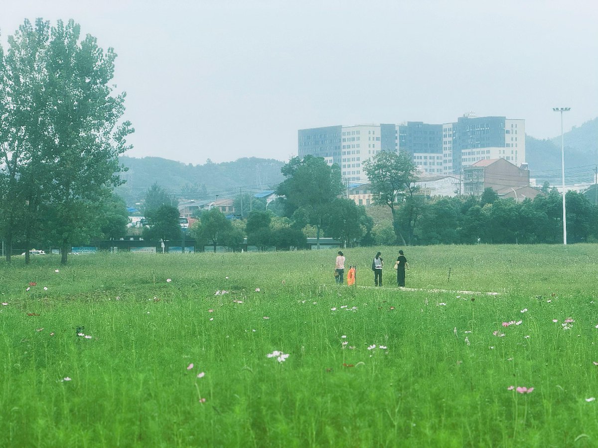 Ebwerd Bcwb tweet media