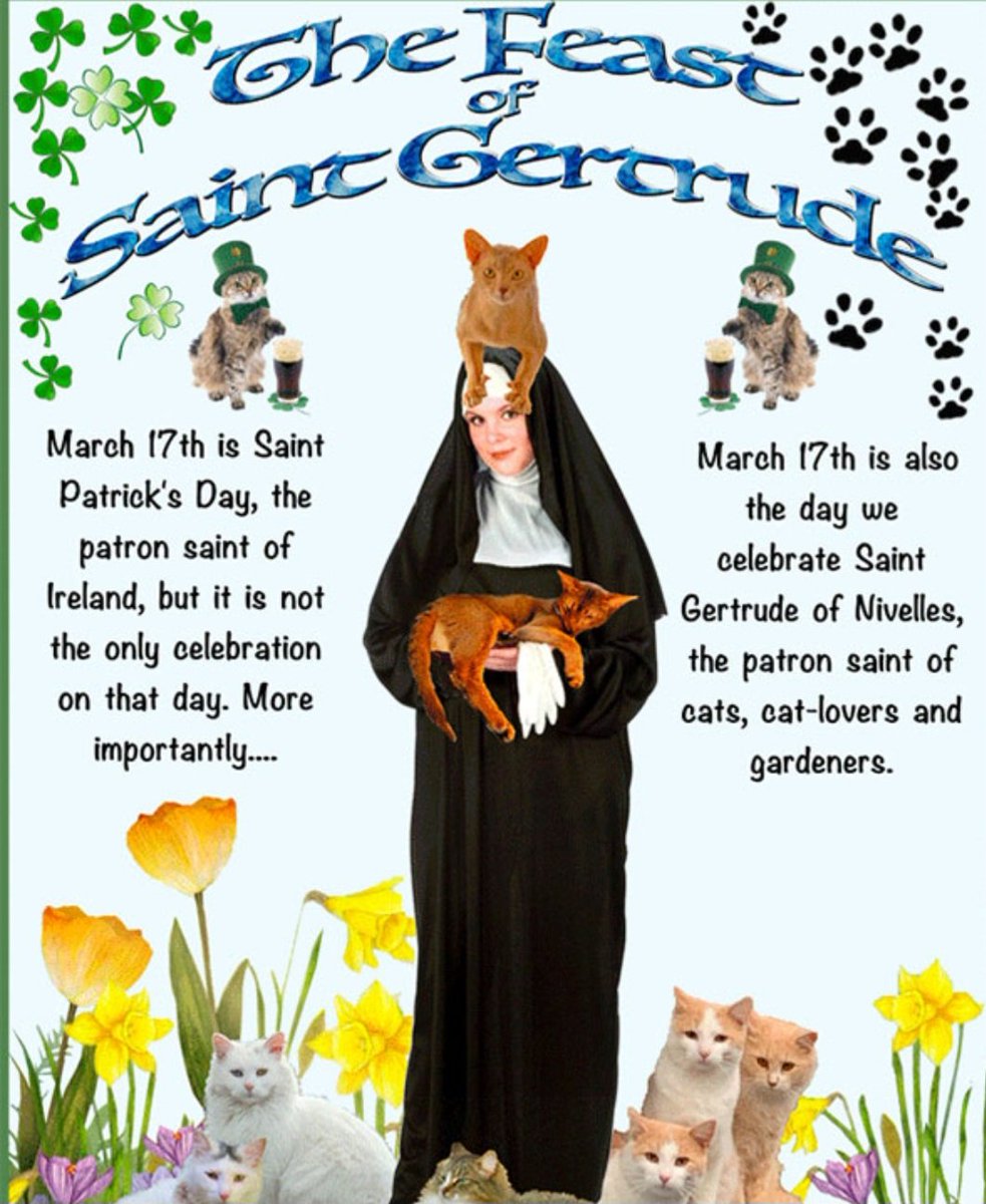 More importantly though, today is also Saint Gertrude of Nivelles day.
Saint Gertrude is the patron saint of cats, cat lovers and gardeners.
Take extra naps and enjoy special treats to celebrate 🐈‍⬛🐈