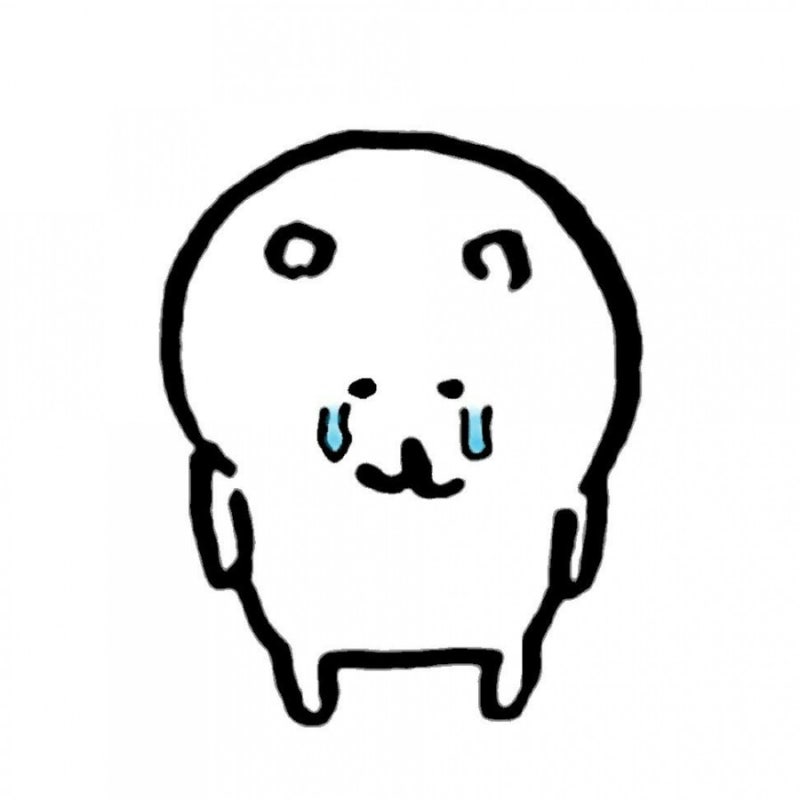 김나오 tweet media