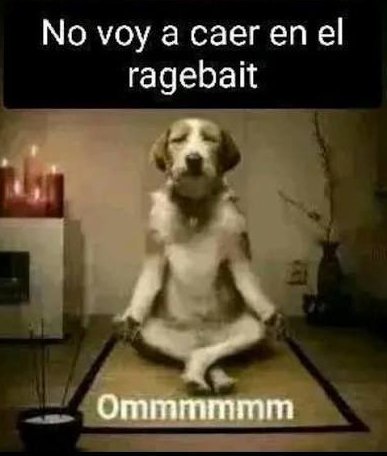 Pedrismo Eterno tweet media