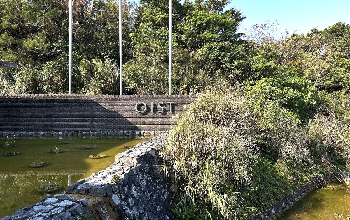 Simo Hosio tweet media