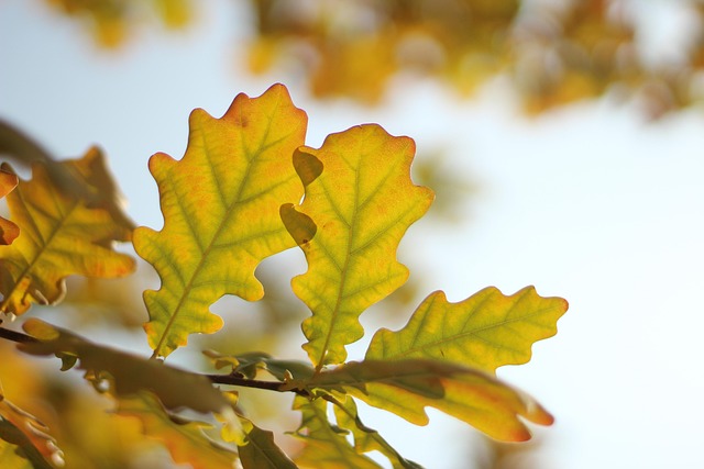 Brian Mansour tweet media