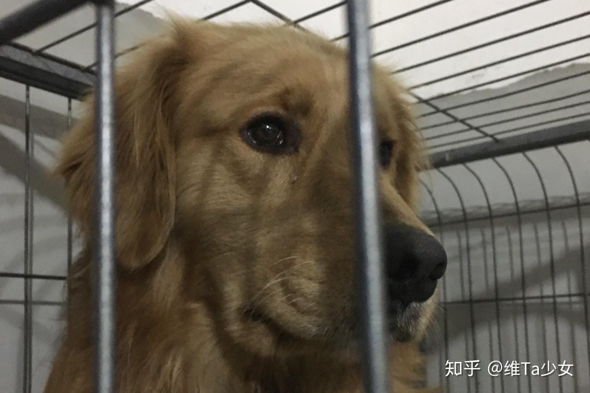 Maria Vitman tweet media