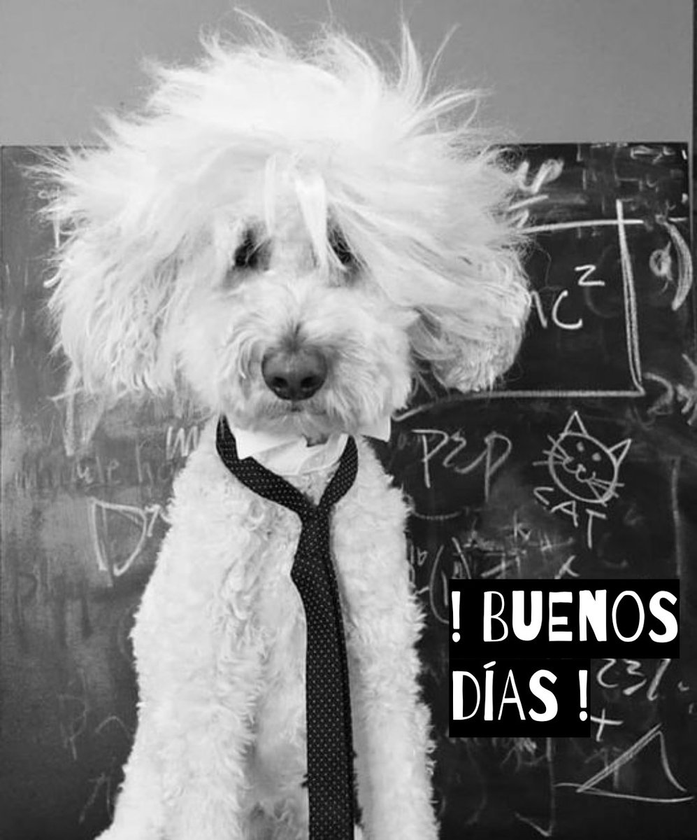 carlos simon (@carlosgrammy) on Twitter photo 