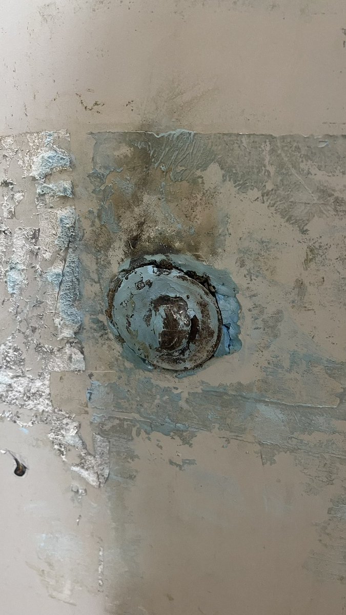 สุขประเดี๋ยว 💦 เสียวประด๋าว tweet media