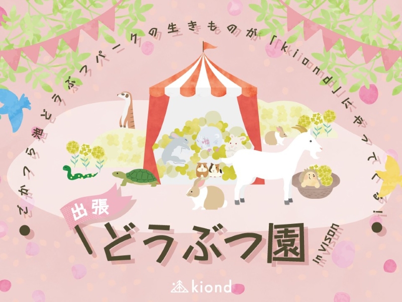 teniteo NEWS［テニテオ］ tweet media