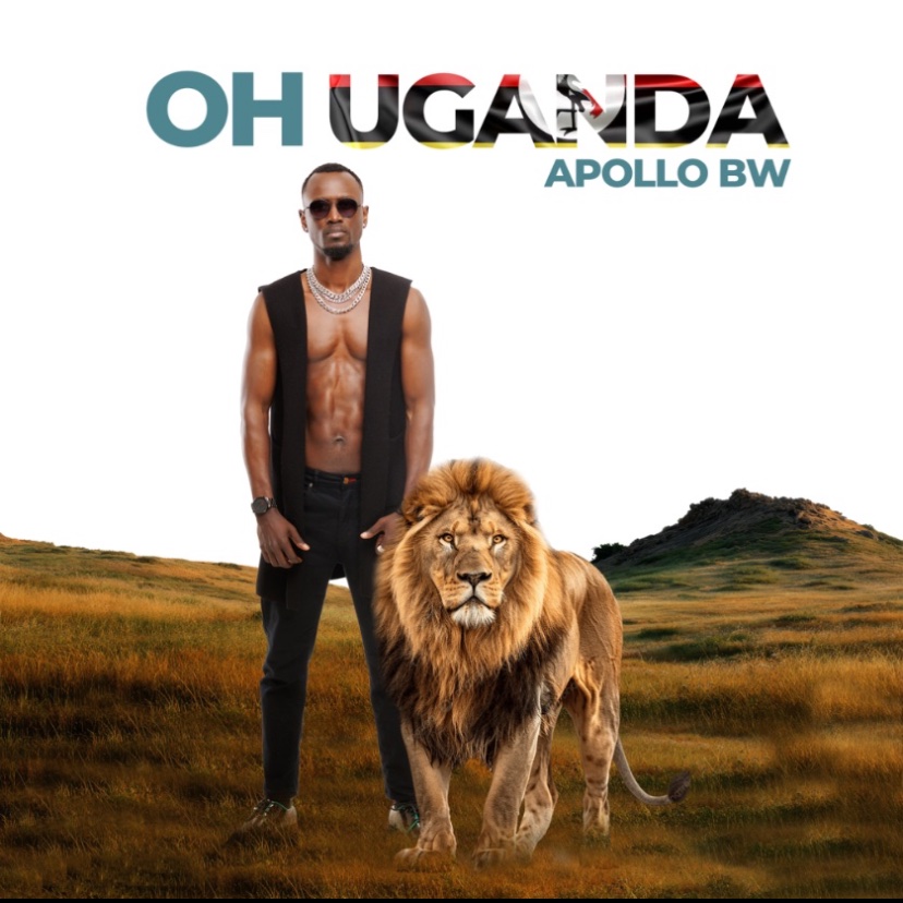 Apollo BW tweet media