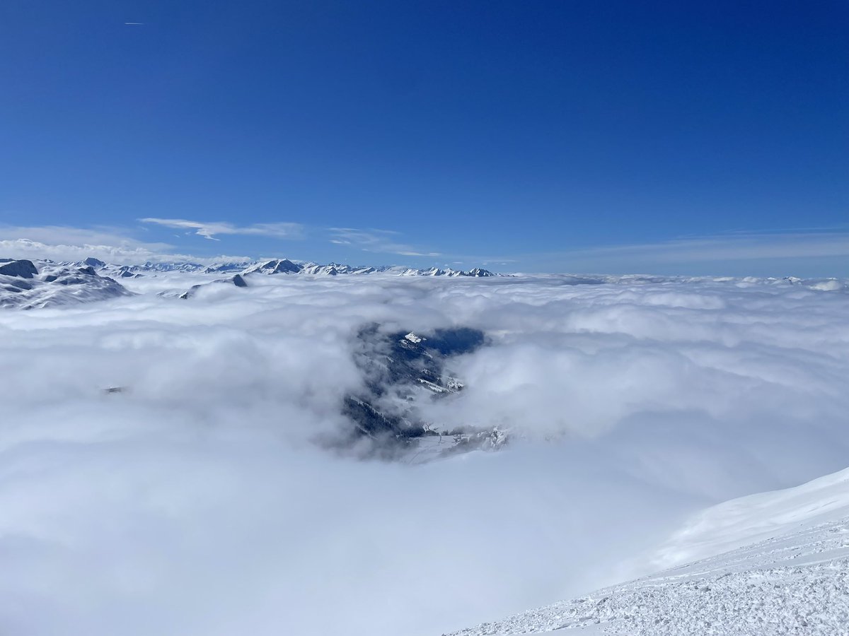 Wayne Davis tweet media