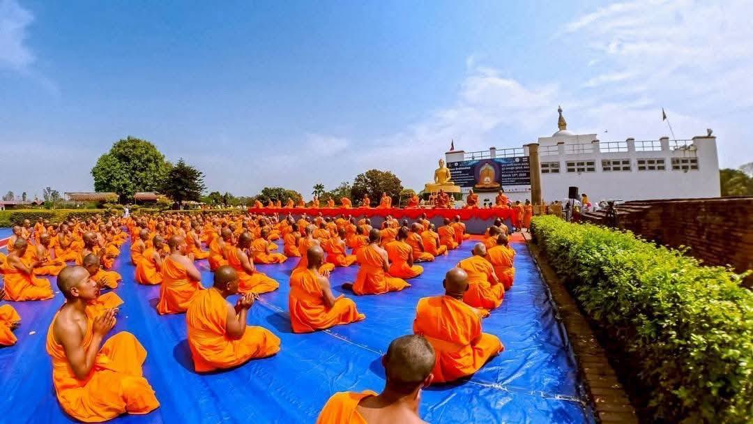 THE SENDER tweet media