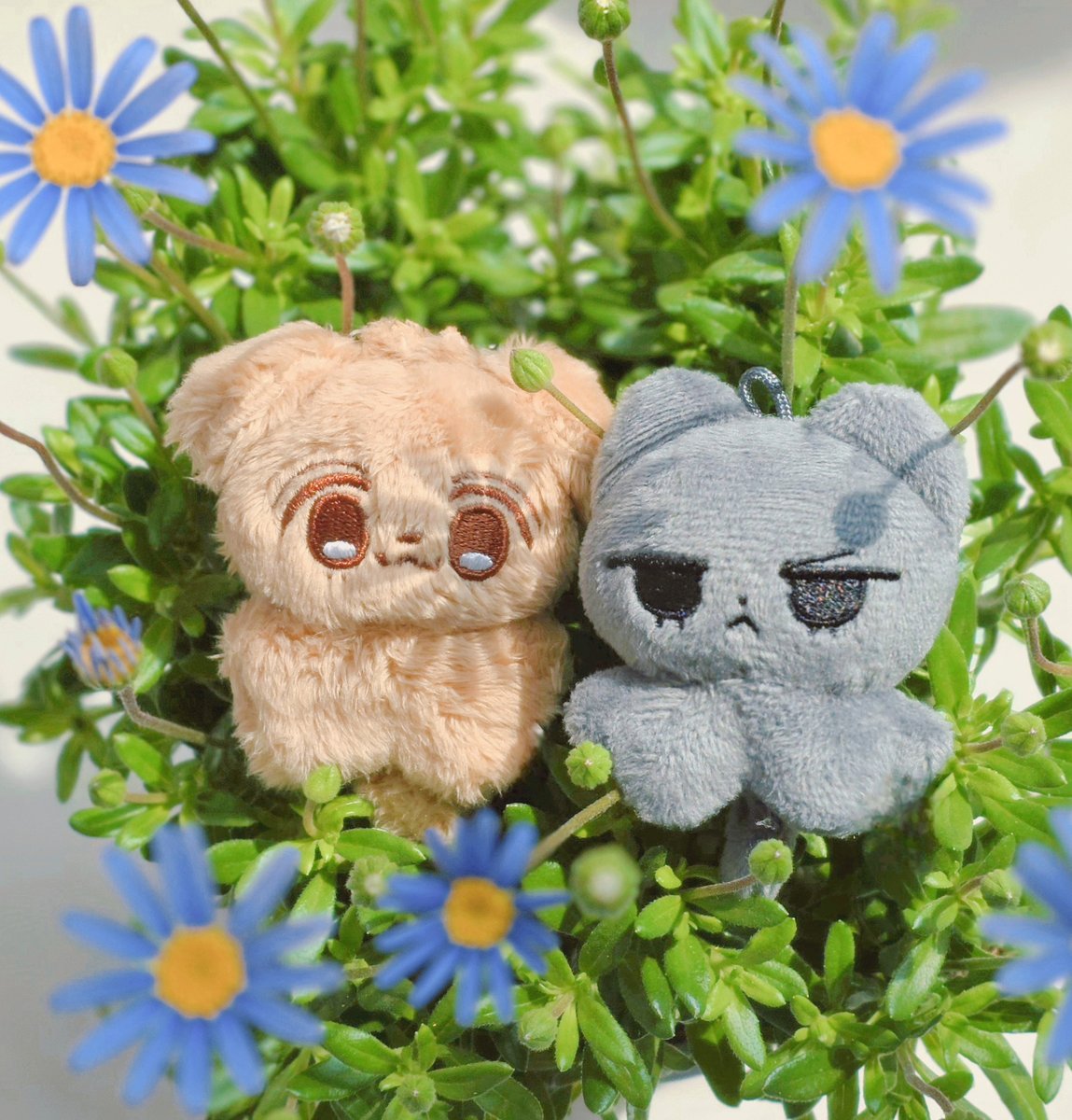 화분에서 아기요정 발견