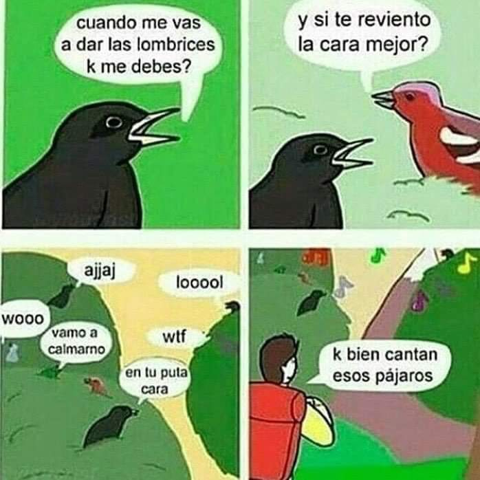 José Fer Zú tweet media