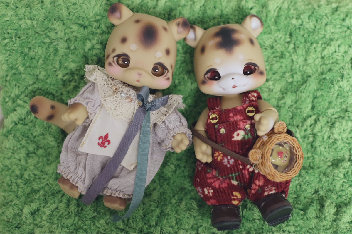 퀸 퀸(ヘリム) tweet media