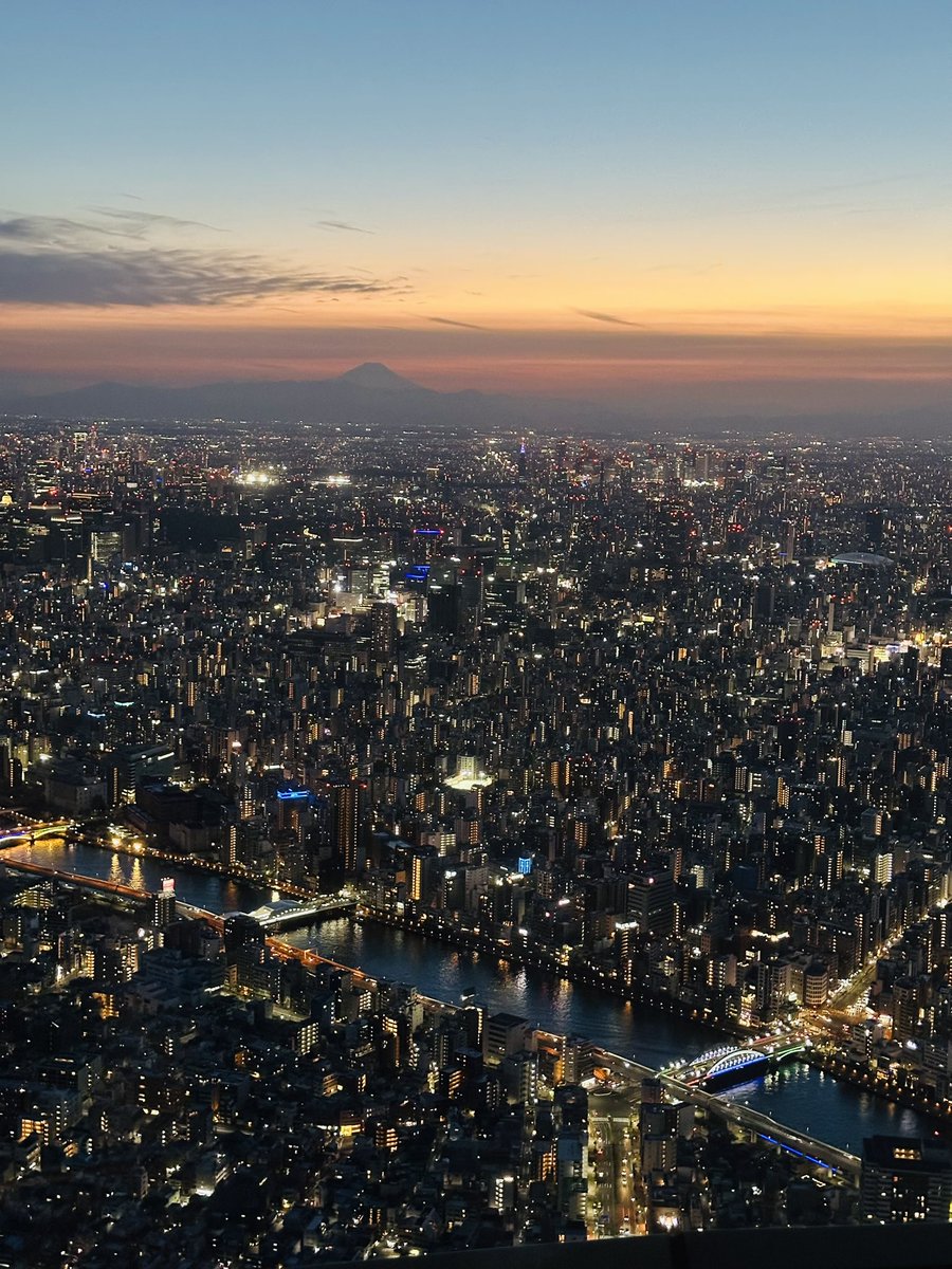 海克莉獅HercuLes. 🌟 TW _ 個人勢VTuber tweet media