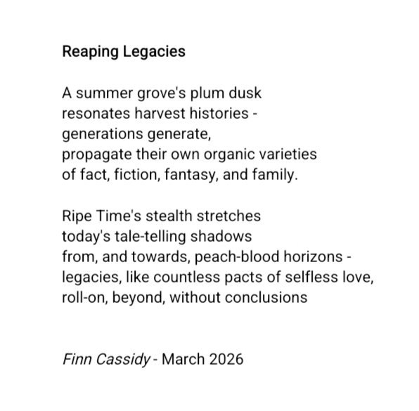 Finn Cassidy tweet media