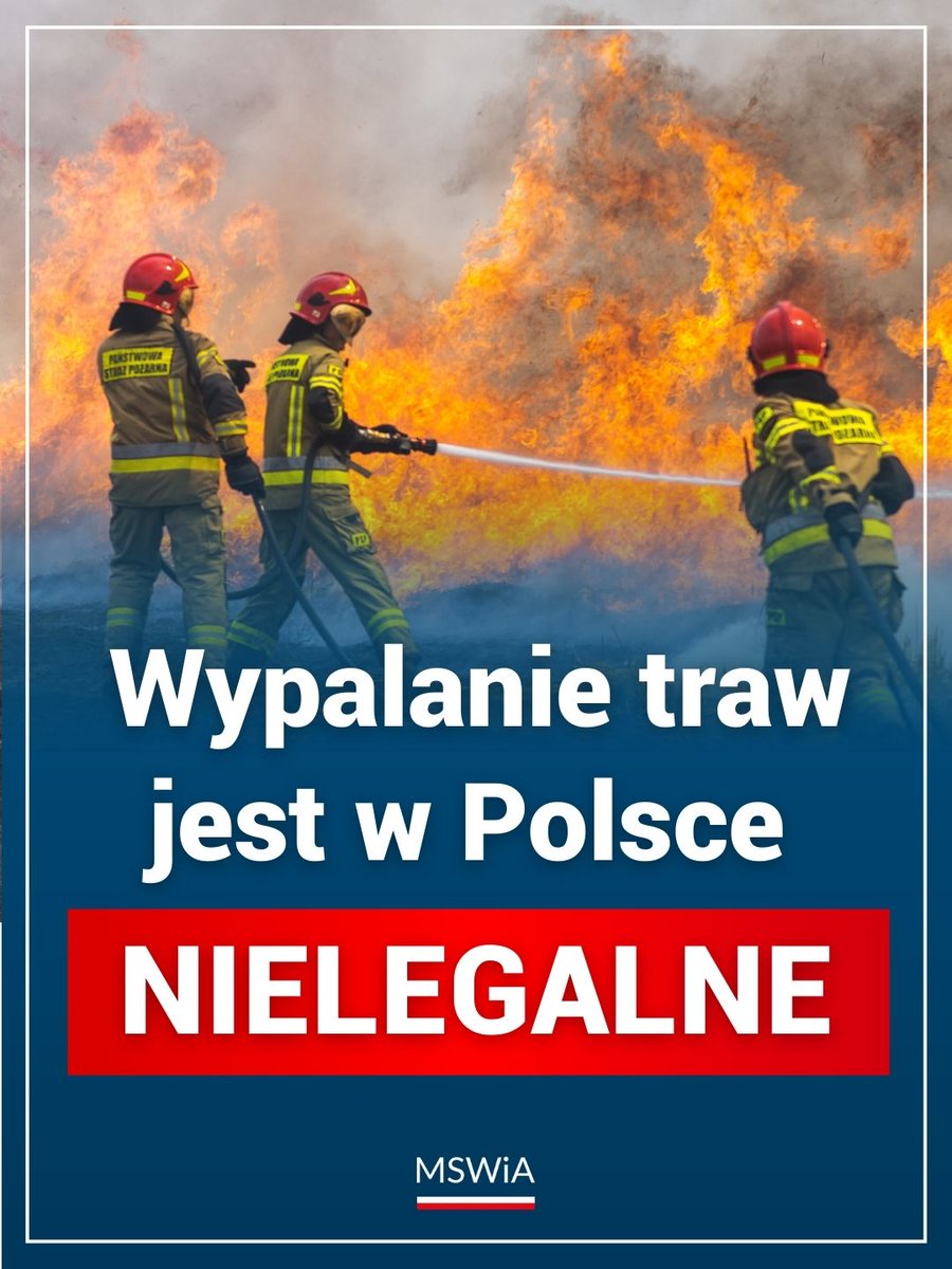 MSWiA 🇵🇱 tweet media