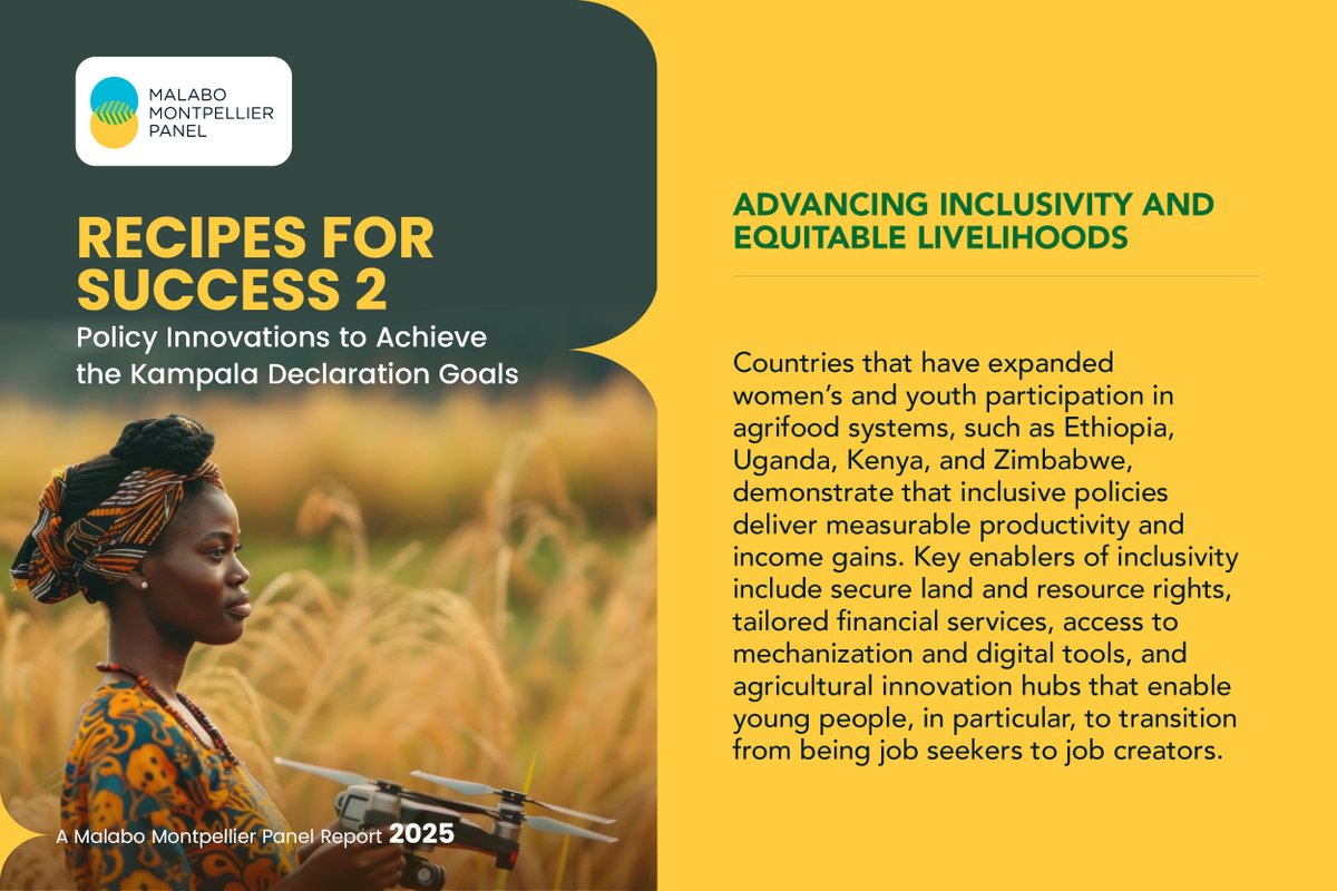 Malabo Montpellier Panel tweet media