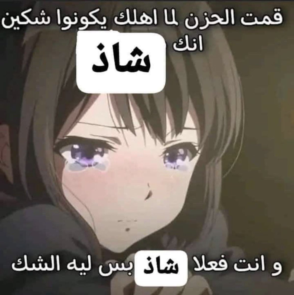 ๐ฎ๐๐ถ๐ โฅ๏ธ tweet media