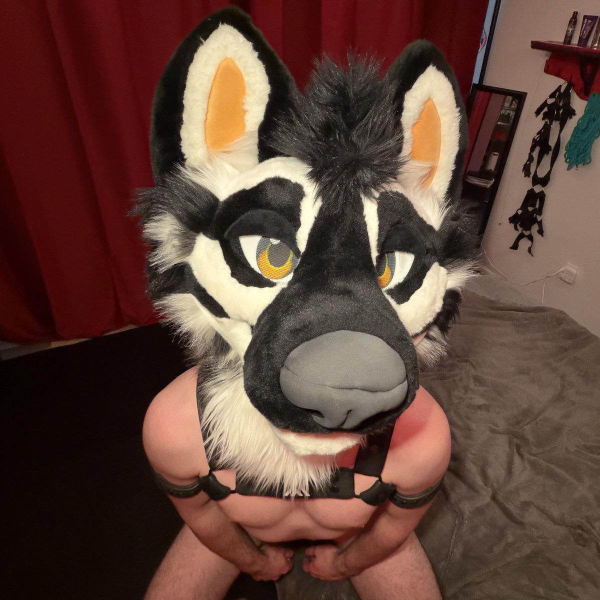 Tilly 🔞 🔜 FANG, LVFC, FWA tweet media