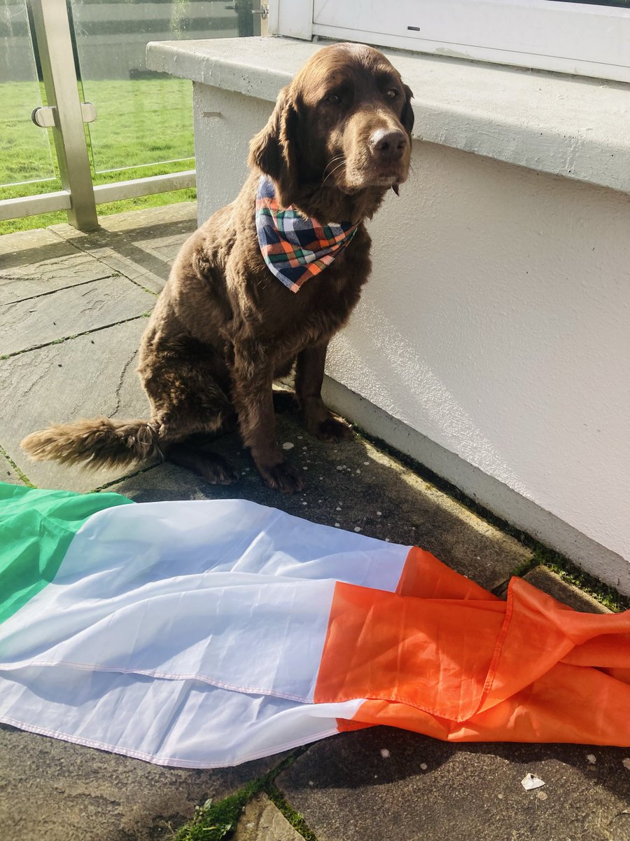 AnneHickey and Aero tweet media