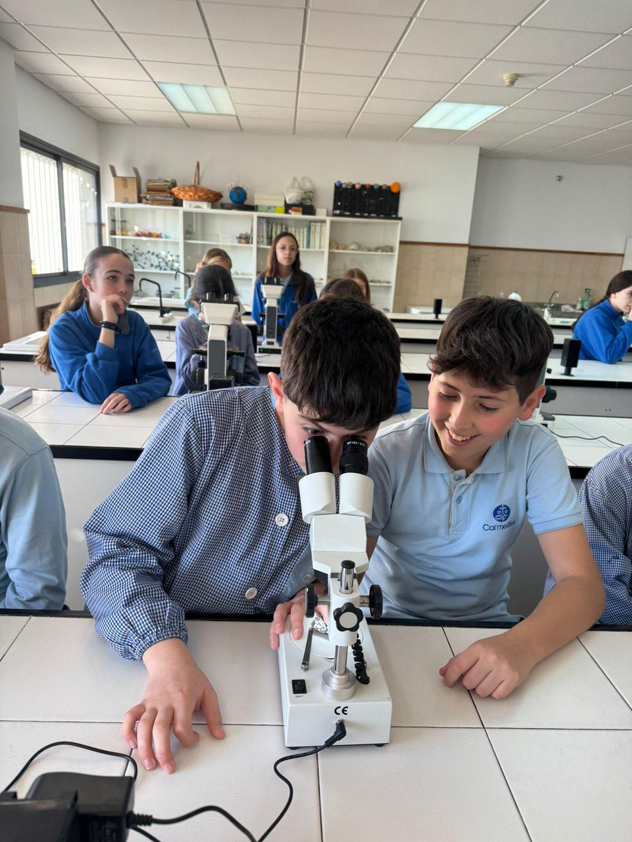 carmelitestgn's tweet photo. #ADMXC #ESOC #PRIC Trobada d'alumnes de 6è de Primària amb alumnes de 1r d’ESO per començar a conèixer aspectes de la propera etapa a secundària. Laboratoris, saló d'actes i taller de robòtica... Segur que va ser tot molt interessant! #aprenemfent #viucarmelites #somifemescola https://t.co/DxCtTyWpRN