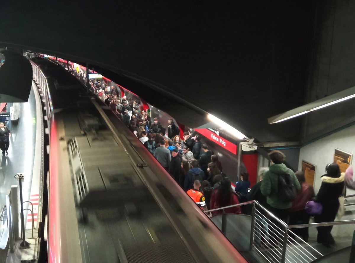 transport.cat tweet media