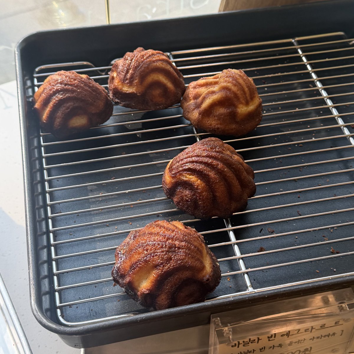 큰그릇 tweet media