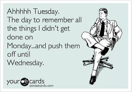 Jane at Provoco tweet media