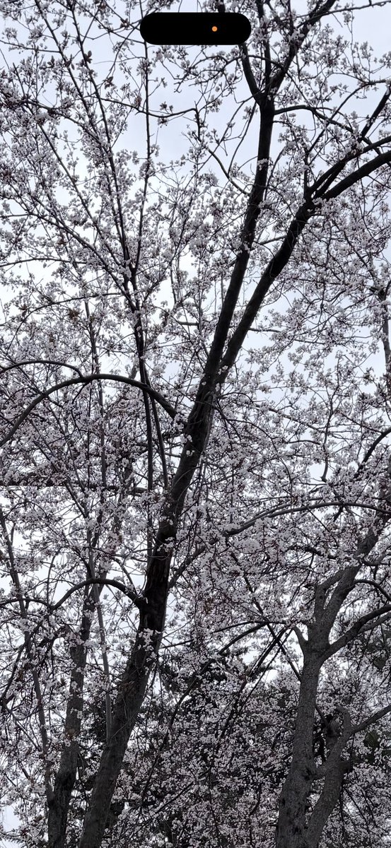 zeynep ekşi tweet media