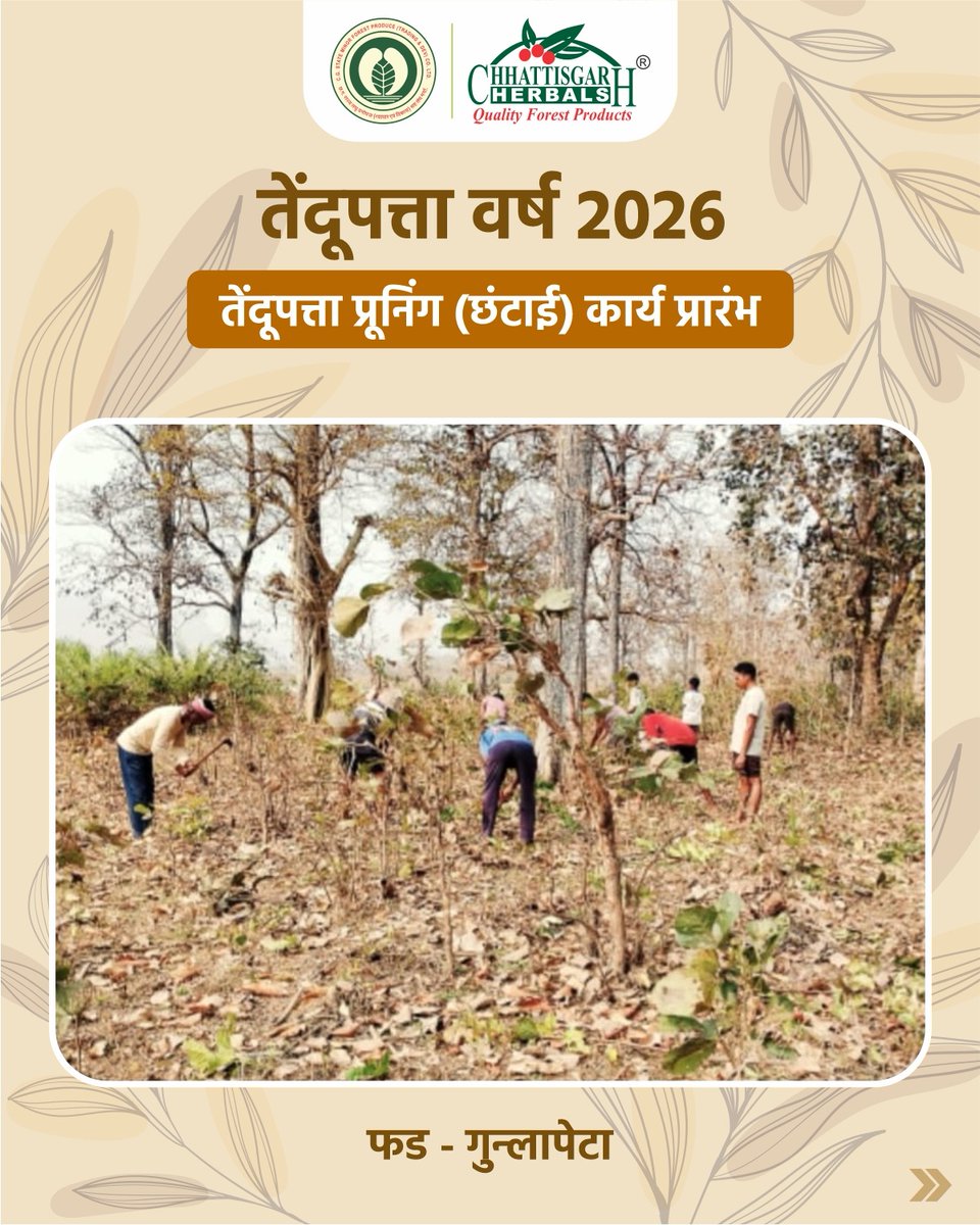 CG Forest & Climate Change Department tweet media