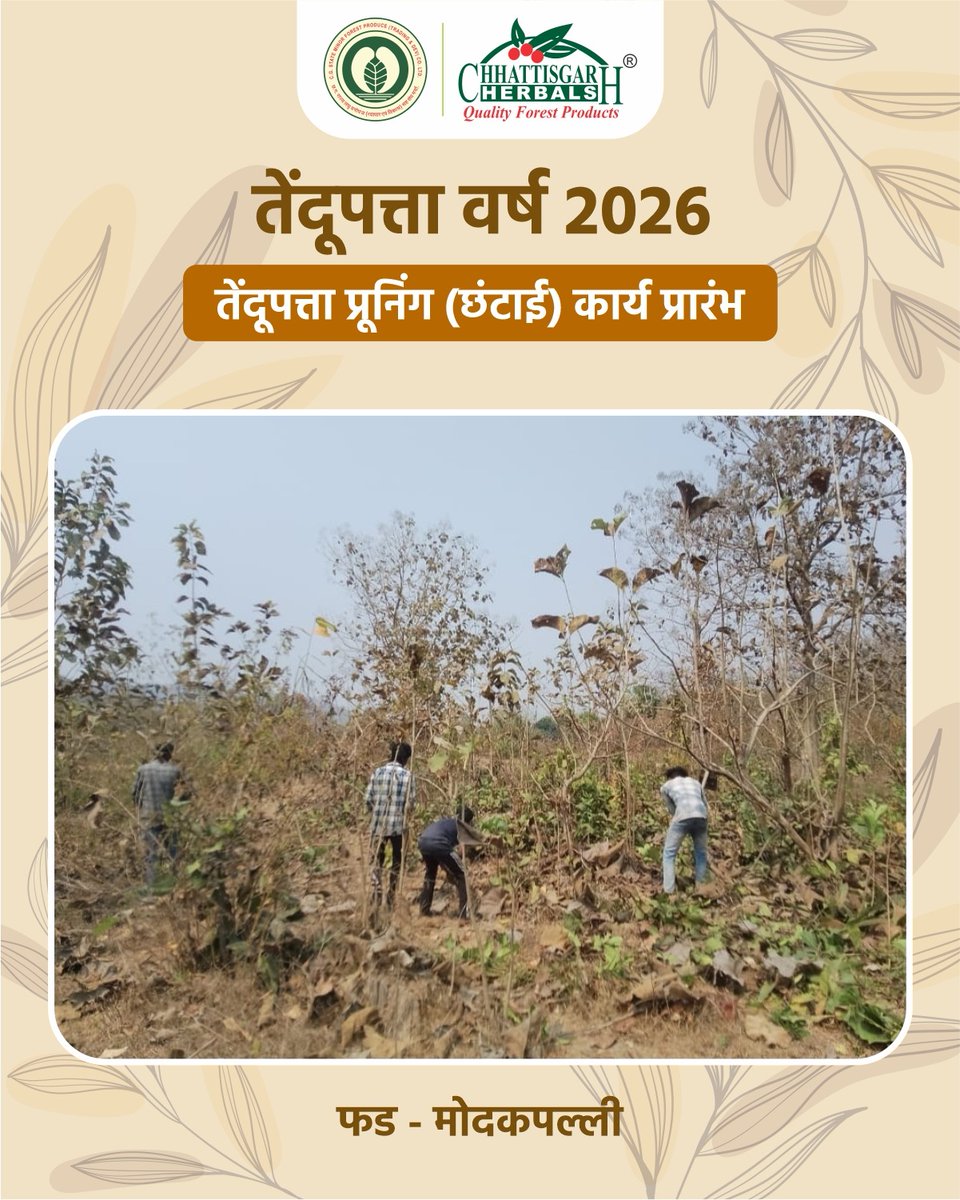 CG Forest & Climate Change Department tweet media