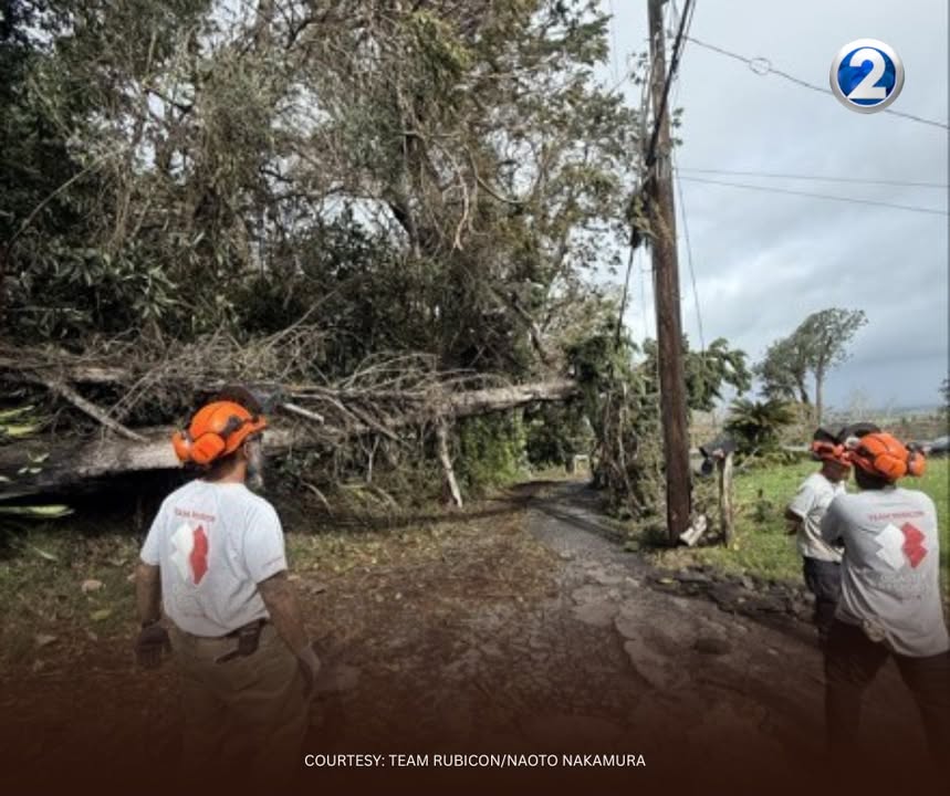 KHON2 News tweet media