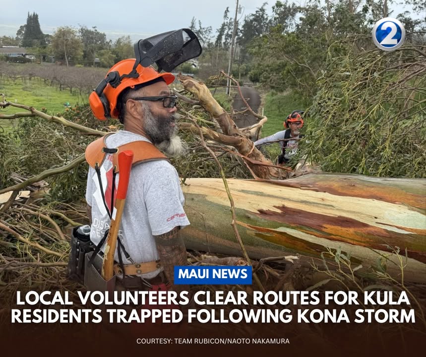 KHON2 News tweet media