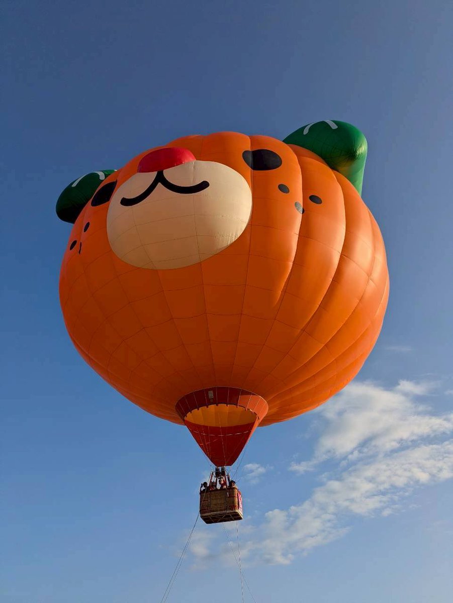 furusato_kuma's tweet photo. 今シーズンからみきゃんの気球体験は、久万高原ふるさと旅行村にて開催！！

4月の予約受付スタートです🍊

宿泊すると割引あります🈹
https://t.co/guRL55iHR6 https://t.co/e5EnqCoQRj