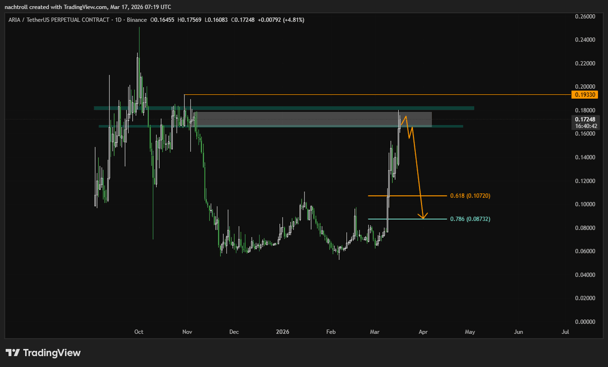 Nacht 🦈 tweet media