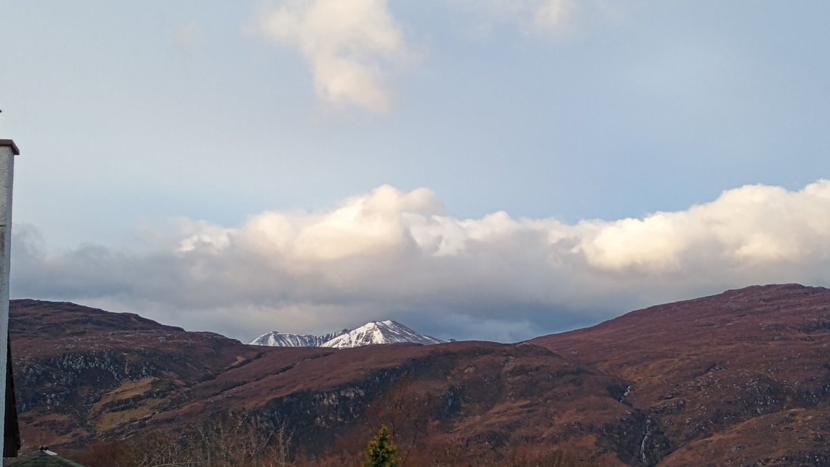 KatharineD tweet media