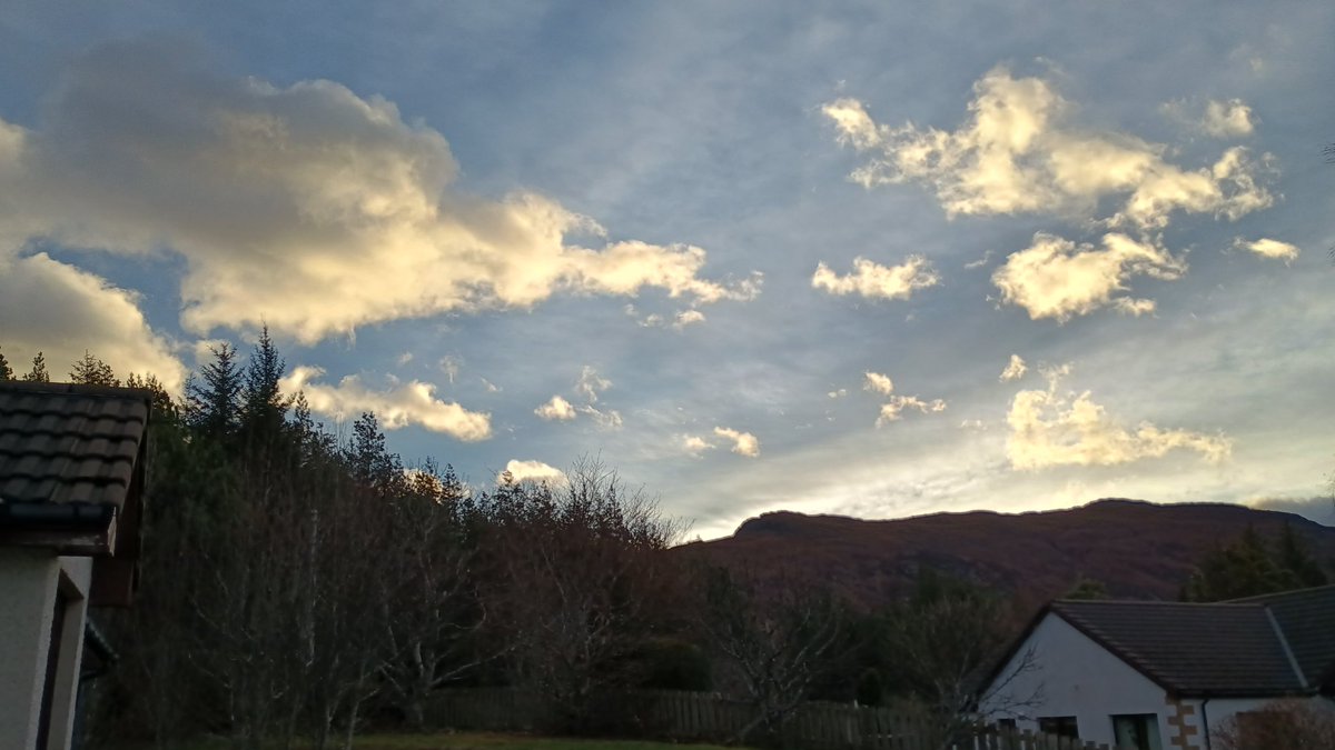 KatharineD tweet media